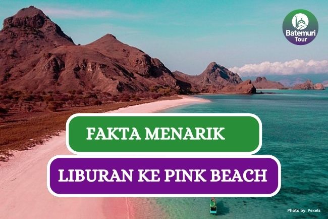 Ini Dia Fakta Dibalik Indahnya Pink Beach dan Tips Liburan Disana